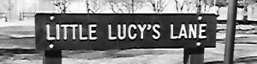 Little Lucy's Lane